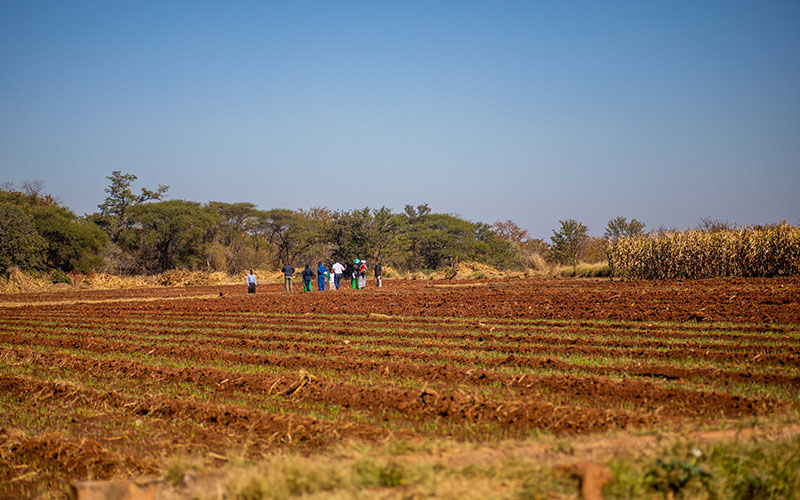 Zinape Irrigation Scheme Farm Visit